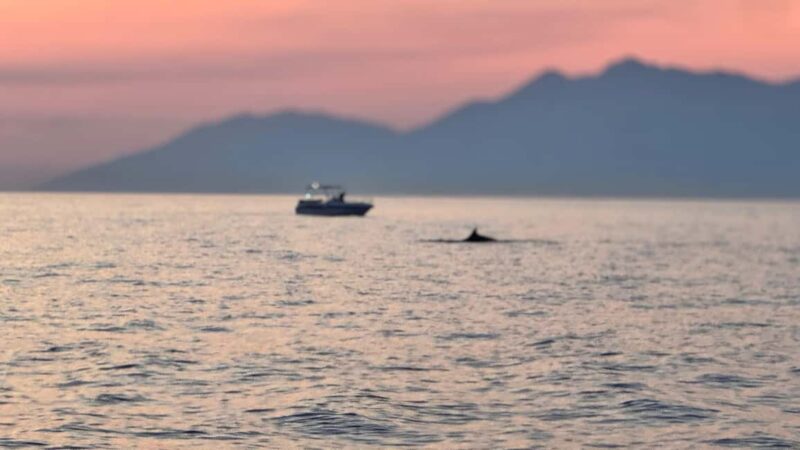 Sarandë: Explore the Riviera with Swim & Snorkel Stops - Why This Tour Offers Excellent Value