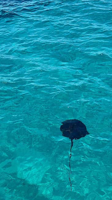 Sarandë: Explore the Riviera with Swim & Snorkel Stops - Frequently Asked Questions