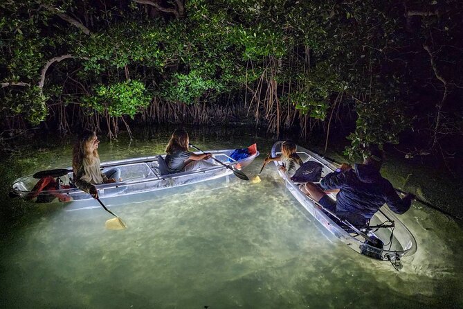 Sarasota - Clear Kayak LED Night Glass Bottom Tour - Key Points