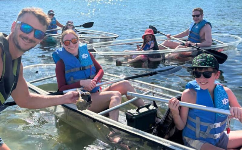 Sarasota: Clear Kayak Mangrove Tunnel Eco Tour - Key Points
