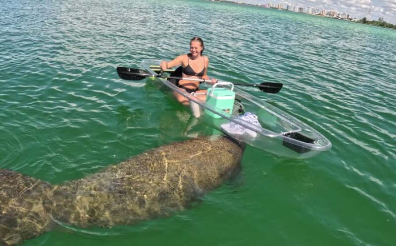 Sarasota: Clear Kayak Mangrove Tunnel Eco Tour - Exploring Sarasota Bay and Marine Life Encounters
