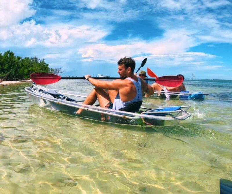 Sarasota: Clear Kayak Mangrove Tunnel Eco Tour - Practical Details and Meeting Logistics