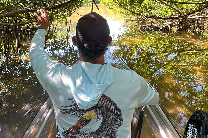 Sarasota Clear Kayak Tour - Midnight Pass and Secluded Beach Exploration