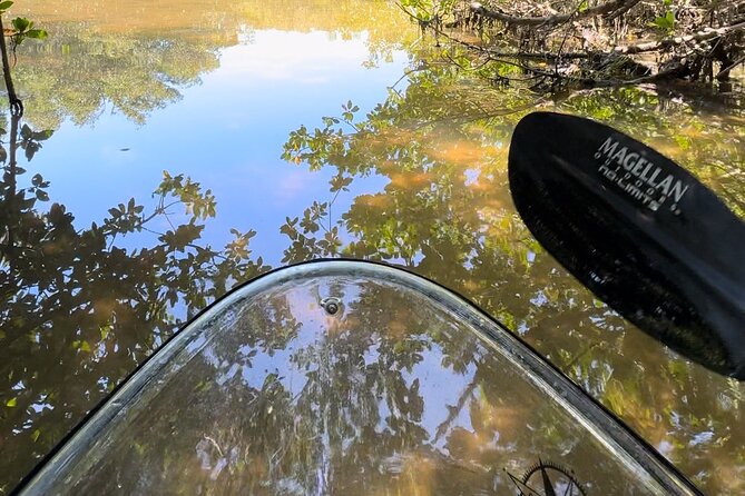 Sarasota Clear Kayak Tour - Logistics: Meeting Point, Group Size, and Equipment