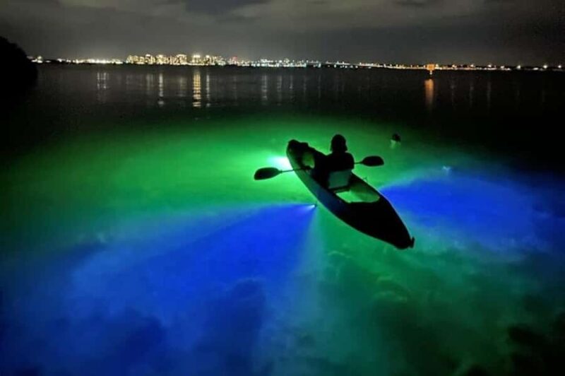 Sarasota: Glass Bottom Kayak Fish Feeding LED Night Tour - Dive into Sarasota’s Unique Night Kayak Experience for Just $59