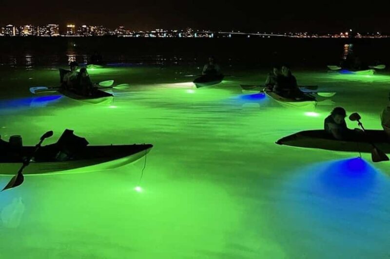 Sarasota: Glass Bottom Kayak Fish Feeding LED Night Tour - Key Points