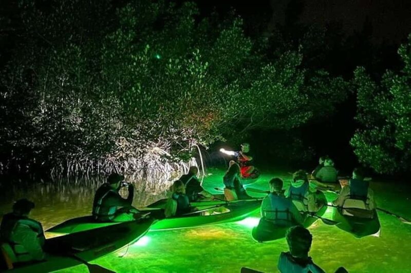 Sarasota: Glass Bottom Kayak Fish Feeding LED Night Tour - Navigating Sarasota’s Mangroves and Grass Flats