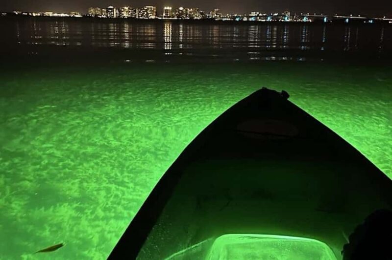 Sarasota: Glass Bottom Kayak Fish Feeding LED Night Tour - Sarasota’s Night Kayaking: Who Will Love It?