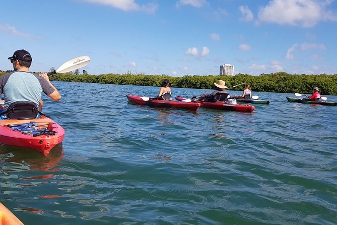 Sarasota Guided Mangrove Tunnel Kayak Tour - Meeting Point and Group Size Considerations