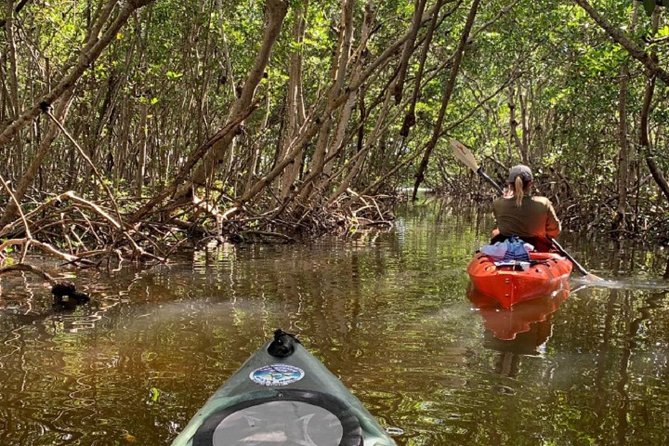 Sarasota Guided Mangrove Tunnel Kayak Tour - What Equipment is Included and What to Bring
