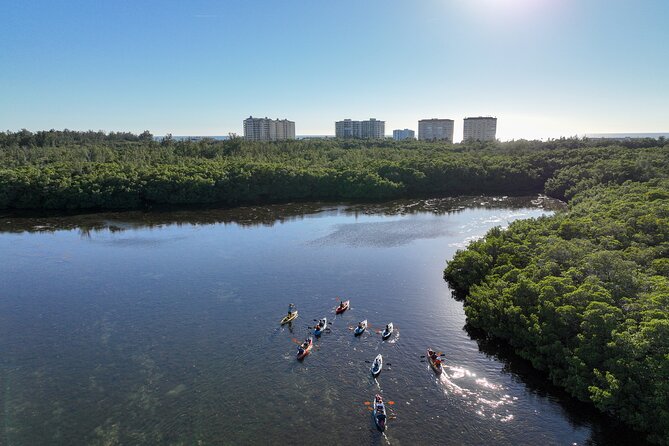 Sarasota Mangrove Tunnel Guided Kayak Adventure - Key Points