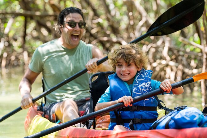 Sarasota Mangrove Tunnel Guided Kayak Adventure - Exploring the Lido Key Mangrove Tunnels