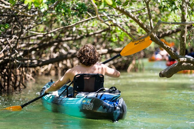 Sarasota Mangrove Tunnel Guided Kayak Adventure - Learning and Safety with Expert Guides