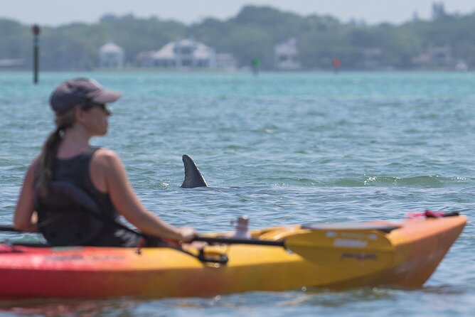 Sarasota Mangrove Tunnel Guided Kayak Adventure - Customizable Experience and Family-Friendly Atmosphere