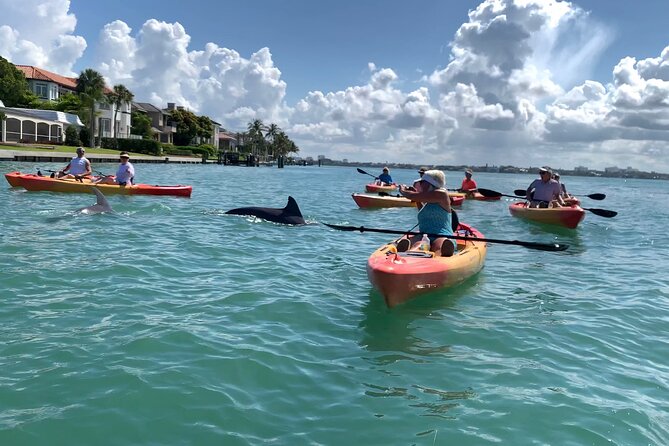 Sarasota Mangrove Tunnel Guided Kayak Adventure - Weather Considerations and Cancellation Policy