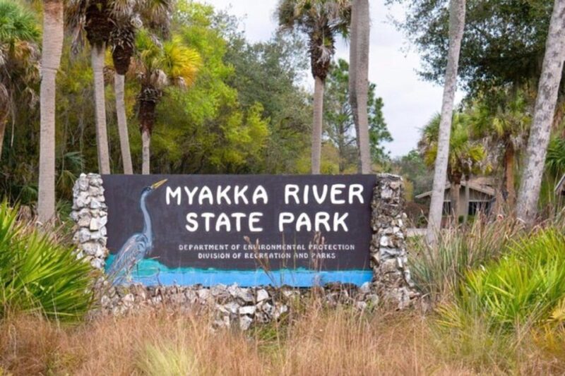 Sarasota: Myakka State Park E-bike Safari Experience - Traversing Myakka Canopy Walkway: A Treetop Challenge