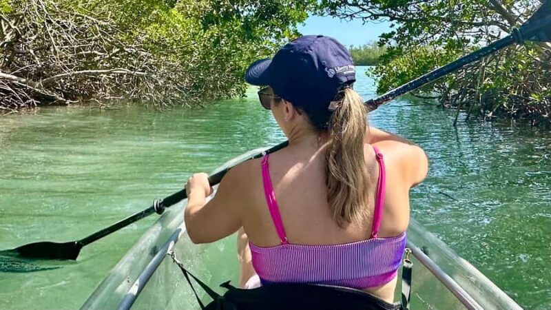 Sarasota: Siesta Key Clear Kayak Tour with Guide - Key Points