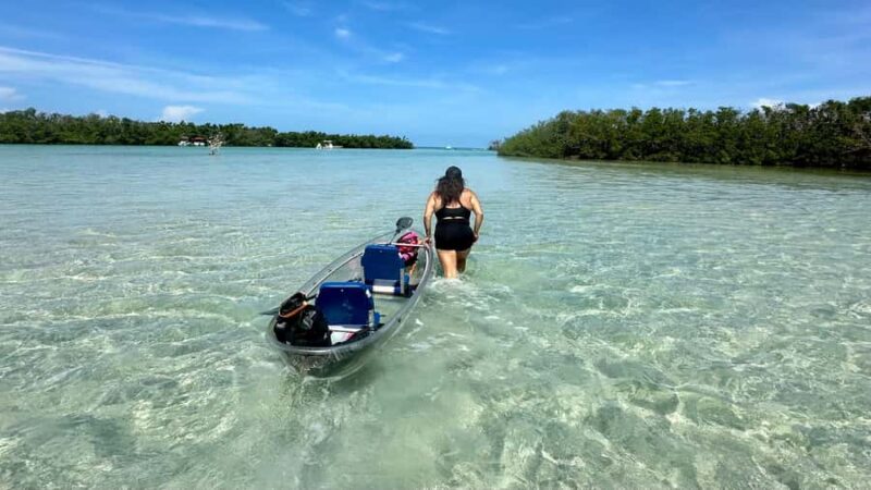 Sarasota: Siesta Key Clear Kayak Tour with Guide - Encountering Wildlife: Dolphins, Manatees, and More