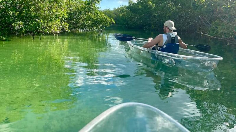 Sarasota: Siesta Key Clear Kayak Tour with Guide - Practical Details: Tour Logistics and Group Size