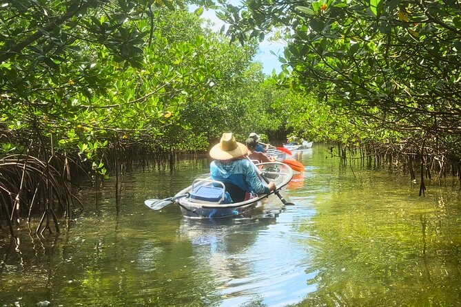 Sarasota Waterways Tour for All Ages - Sarasota Waterways Tour for All Ages: Explore Marine Life from a Crystal-Clear Kayak