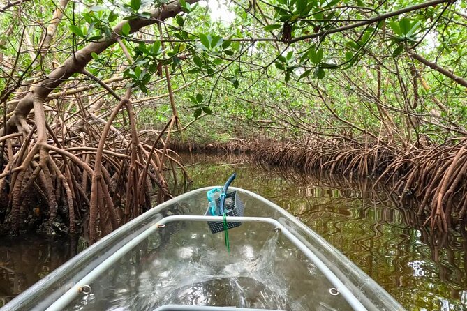 Sarasota Waterways Tour for All Ages - What to Bring and How to Prepare