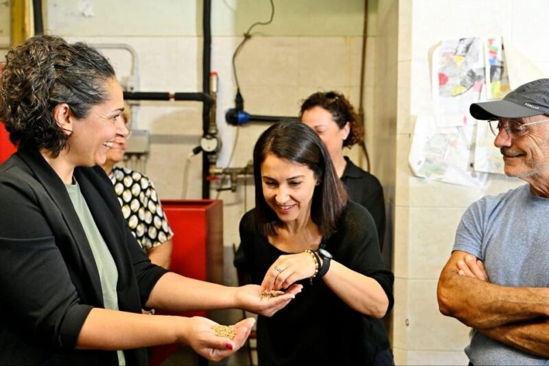 SARDINIA FOOD Tour in the oil mill, with tasting, at sunset. - Inside the Oil Mill: From Tree to Bottle