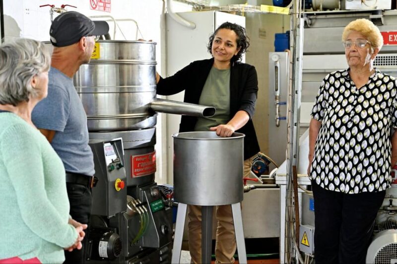 SARDINIA FOOD Tour in the oil mill, with tasting, at sunset. - Practical Details and Booking Flexibility