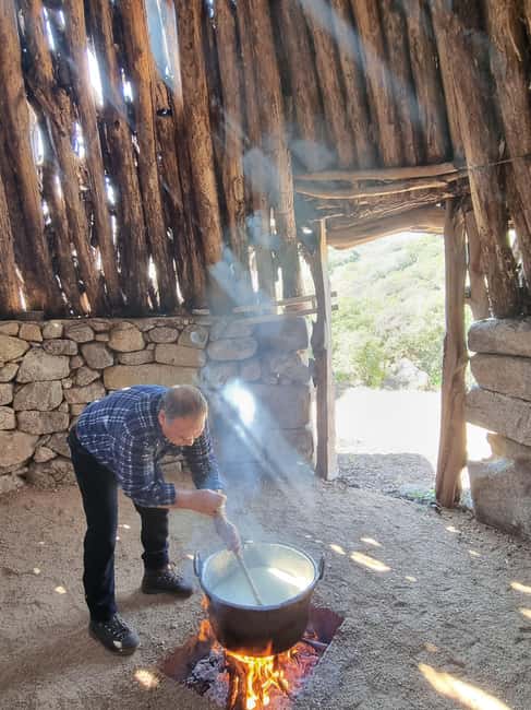 Sardinia: Private Cheese-Making Workshop and Supramonte Tour - Key Points