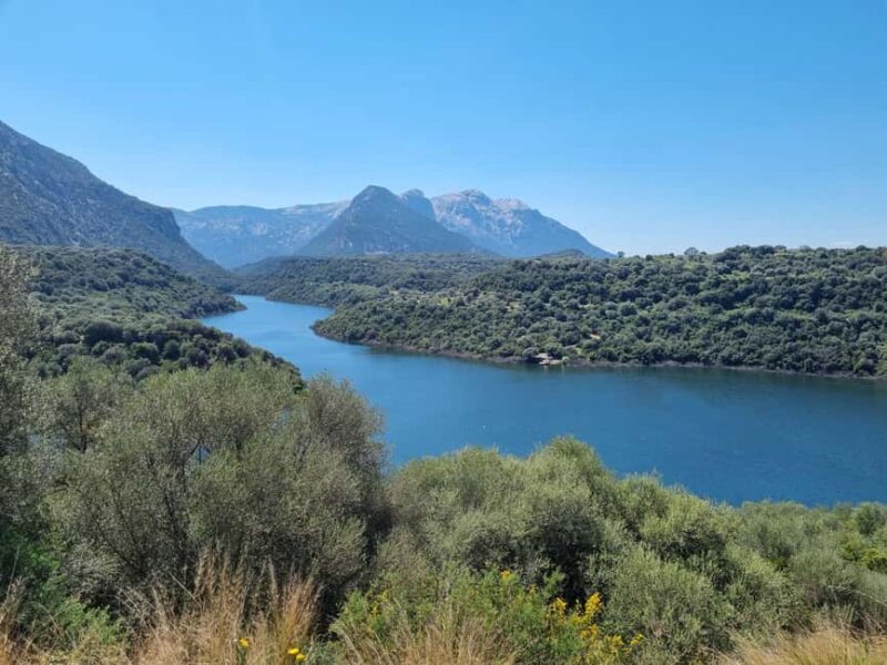 Sardinia: Private Cheese-Making Workshop and Supramonte Tour - Sardinian Cheese-Making with a Shepherd Family