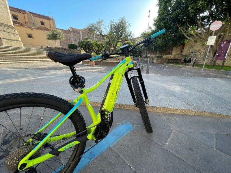 Sardinia: Rent an E-bike in Oristano - Who Will Benefit Most from This Tour