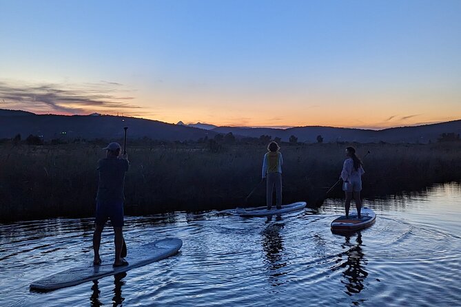 Sardinia: SUP tour at sunset - What to Expect During the Paddling Experience