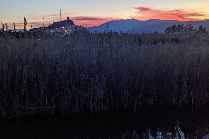 Sardinia: SUP tour at sunset - Logistics and Group Size for an Intimate Experience