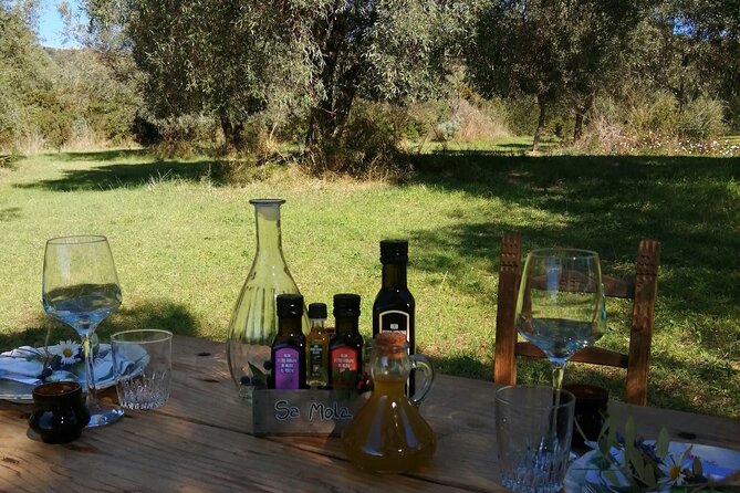 Sardinian Olive Oil tasting & Picnic among the olive trees - Sardinian Olive Oil Tasting & Picnic: Final Thoughts