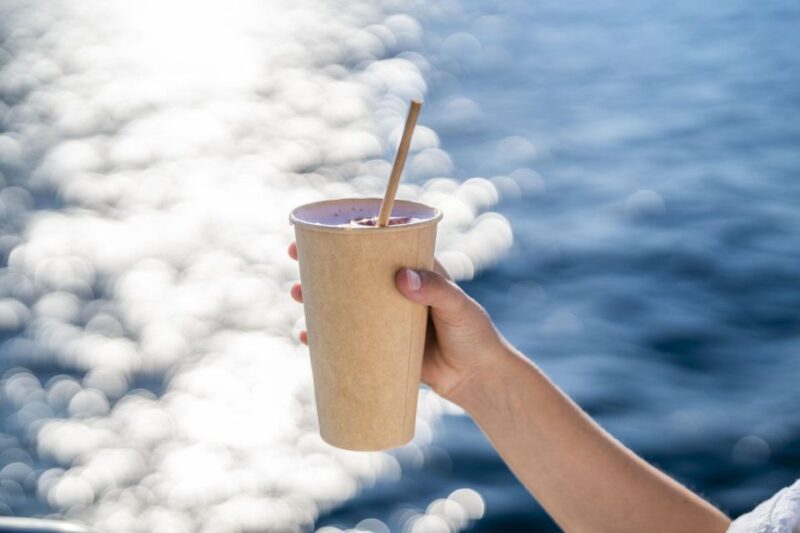 S'Arenal: Sunset Catamaran Cruise with BBQ - Accessibility and Practical Tips