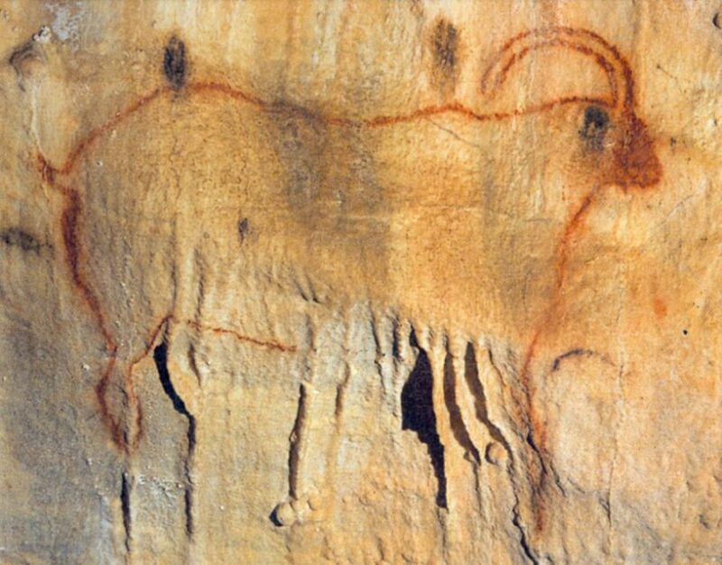 Sarlat : Private Tour to a Prehistoric Cave by Exploreo24 - Why This Tour Outshines Similar Experiences