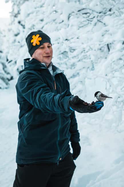 Särna: Brudslöjan Waterfalls Guided Hike with Lunch - Key Points