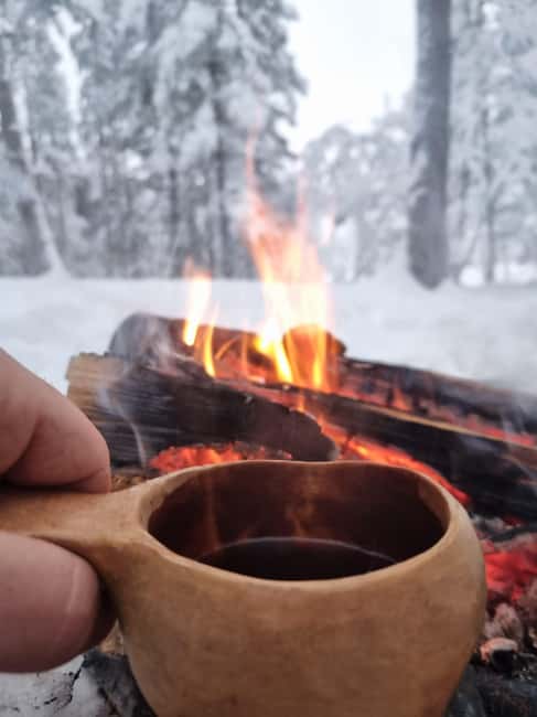 Särna: Fulufjället National Park Guided Hike with Lunch - Key Points
