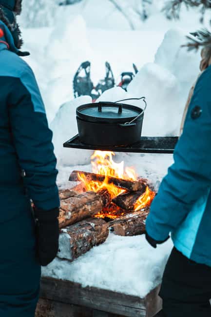 Särna: Fulufjället National Park Guided Hike with Lunch - Suitable For Nature Enthusiasts and Outdoor Learners