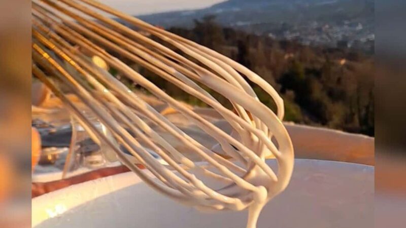 Sarzana: pesto experience at Sarzanello Fortress - Final Thoughts on the Sarzana: Pesto Experience at Sarzanello Fortress