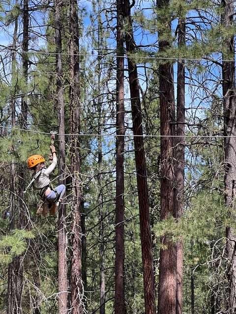 Sasquatch Hollow: Kids' Zipline Adventure - Comparing Sasquatch Hollow to Similar Experiences