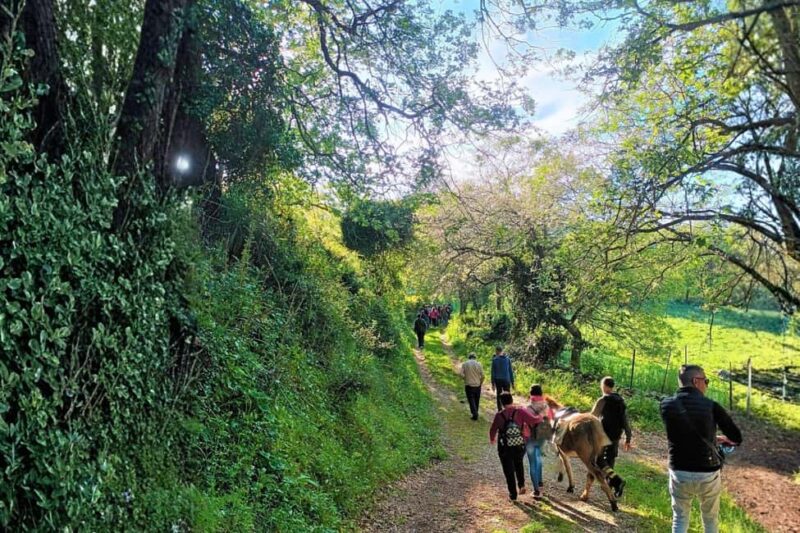 Sassari: hiking with donkeys in Cargeghe and aperitif - Starting Point and Meeting Logistics in Cargeghe