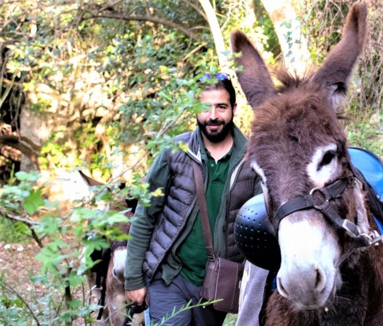 Sassari: hiking with donkeys in Cargeghe and aperitif - Guides, Stories, and Cultural Insights