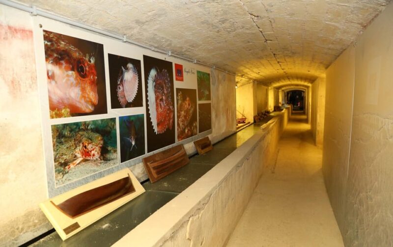 Sassari: visit the Sea and Water Ecomuseum - Why This Tour Is a Great Fit for Visitors