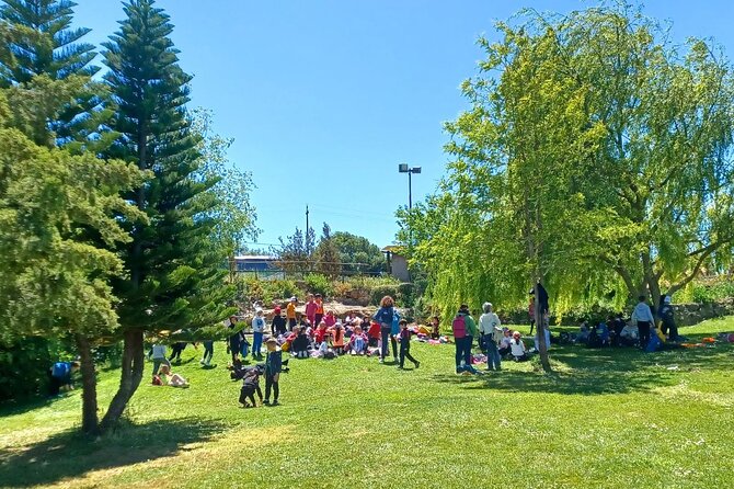 Sassari Visit to the Roman Castrum and the Educational Farm - Final Thoughts on the Sassari Roman Castrum and Farm Tour