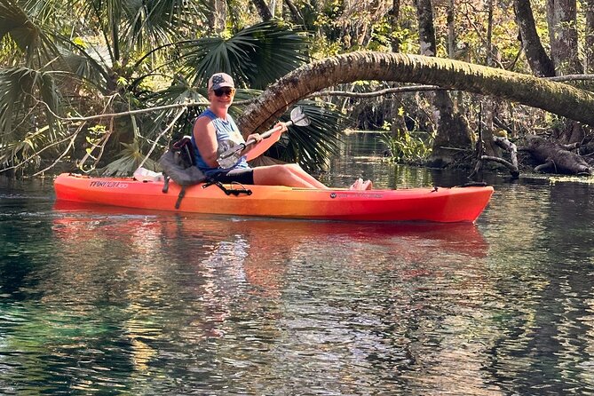 Sassy Silver Springs Kayak and Paddle Rental - Wildlife Viewing and Nature Highlights at Silver Springs