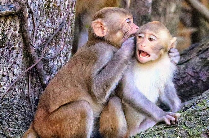 Sassy Silver Springs Kayak and Paddle Rental - Who Will Enjoy This Experience ?