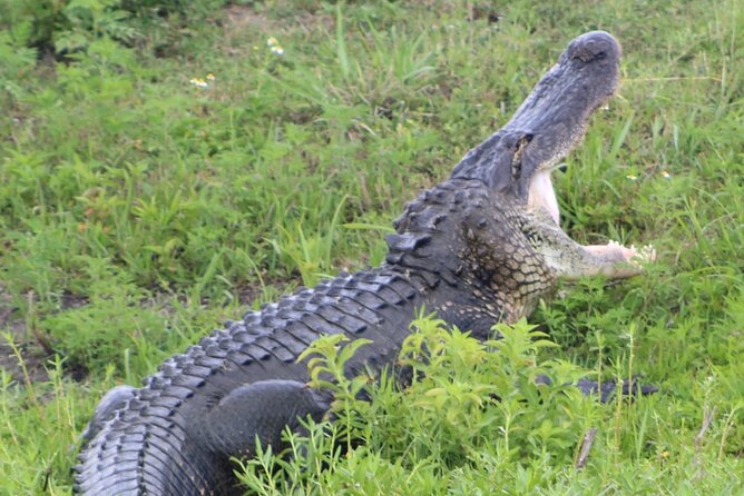 Sassys Silver Springs Kayak and Paddleboard Tours - Key Points