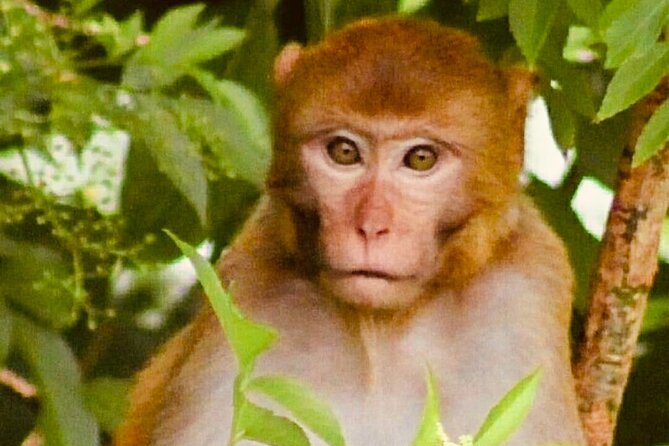 Sassys Silver Springs Kayak and Paddleboard Tours - Experience Silver Springs on a 2-Hour Guided Tour