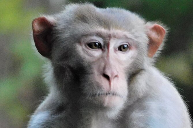 Sassys Silver Springs Kayak and Paddleboard Tours - Scenic Views and the Crystal Waters of Silver Springs