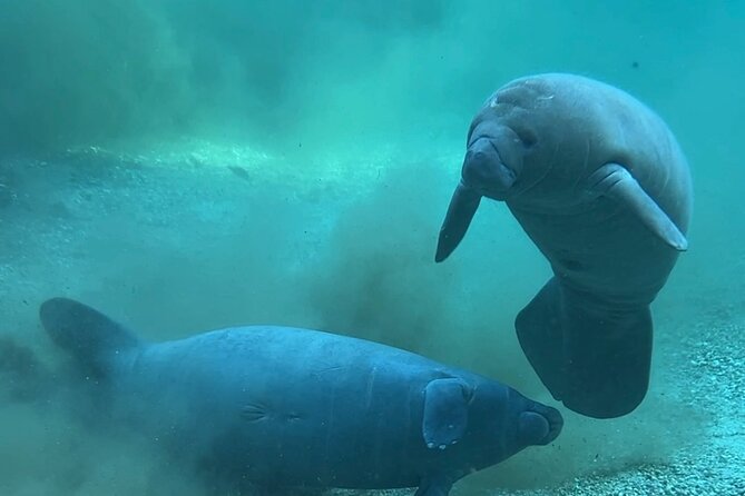 Sassys Silver Springs Kayak and Paddleboard Tours - Equipment Quality and Maintenance